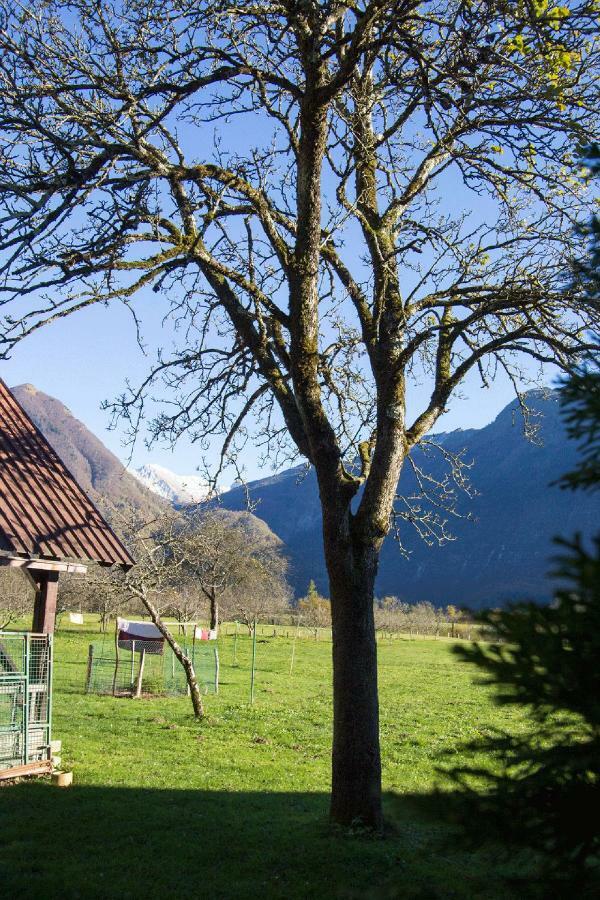 Apartment Mavrica Bovec Exterior photo